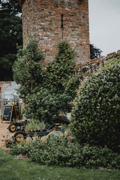 Transform Your Lawn with Expert Care
